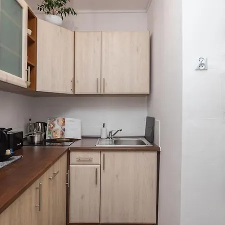 Spacious With Park View Apartment